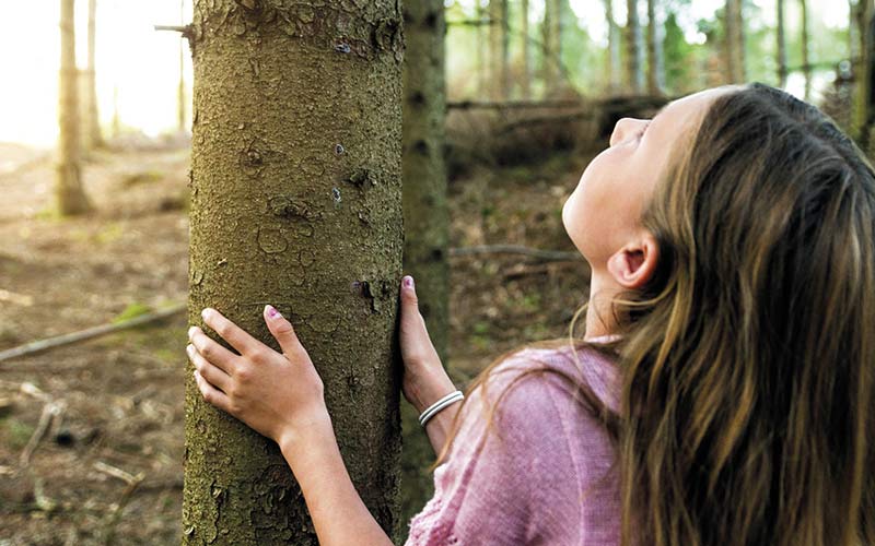 Isolamento in legno per vivere sano - Mission